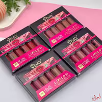 پک رژلب مایع VDAY