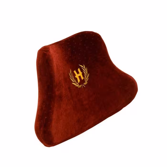 پشت کمری طبی ستاره‌ای خانگی هوشمند