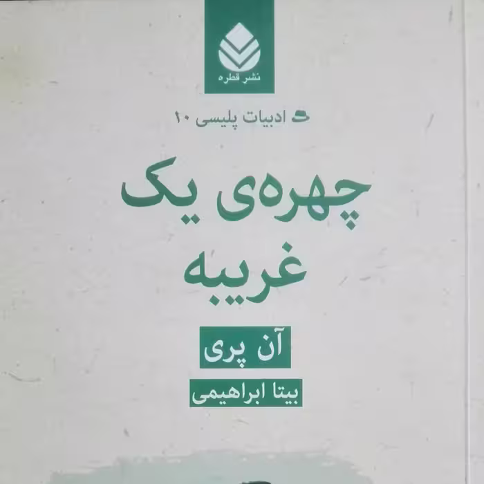 چهره یک غریبه نوشته آن پری ترجمه بیتا ابراهیمی