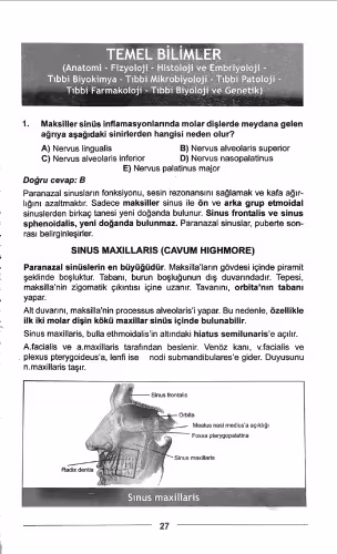 خرید و دانلود نسخه کامل کتاب Dus Soruları ve Açıklamalı Cevaplı Kitapçığı