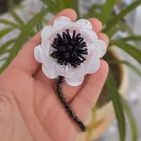 گلسینه گل آنمون