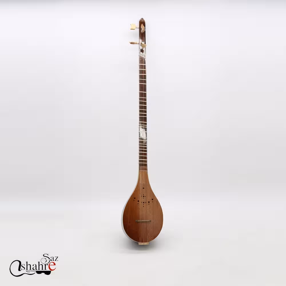 سه تار آریا 3/4