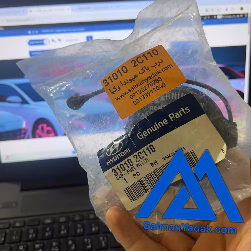 درب باک کوپه هیوندا کیا 310102C110