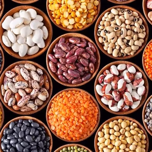 لوبیا قرمز  خوشپخت درجه یک و طبیعی در بسته بندی های 1کیلویی