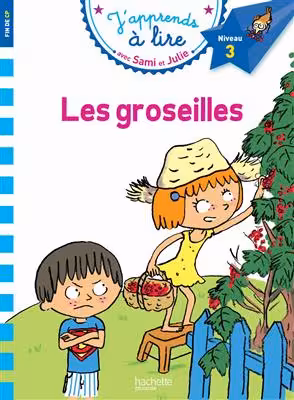 دانلود کتاب Sami et Julie CP Niveau 3 Les Groseilles