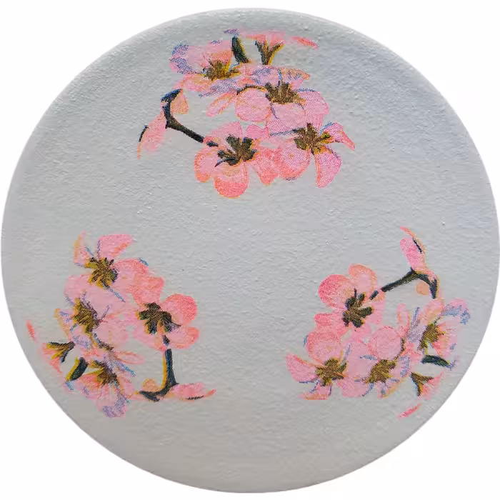 بشقاب دیوارکوب سفالی مدل فلامینگو و گلها مجموعه 3 عددی