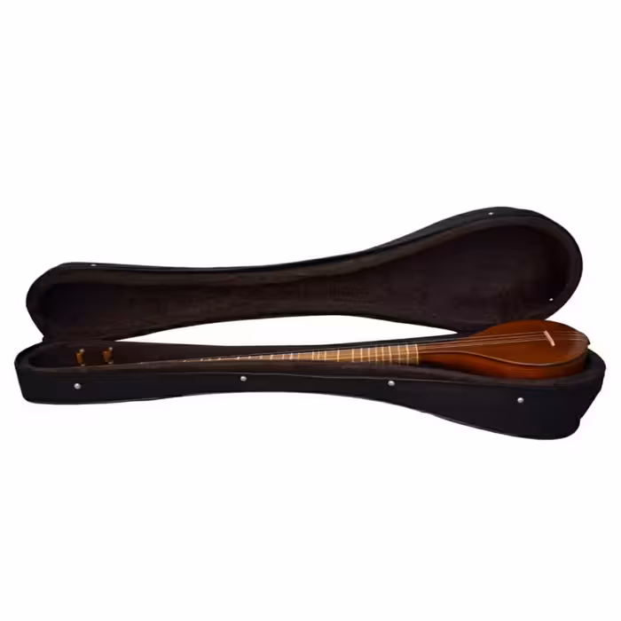 سه تار فرد مدل افرا کد 902