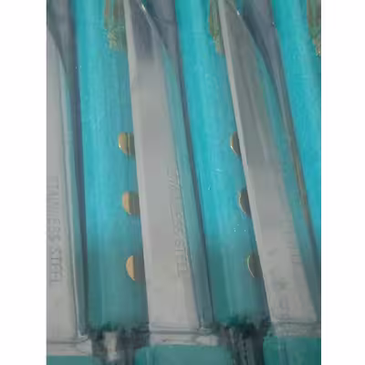 چاقو میوه خوری کد 12 مجموعه 12 عددی 