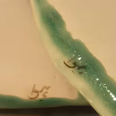 شیرینی خوری سرامیکی هیوا طرح سرو شیراز کد 11016457 مجموعه 2 عددی