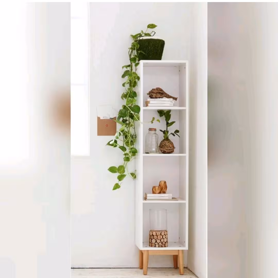 قفسه کتاب و دکوری