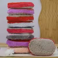 اسکاج بیضی پولیشی هانس