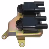 کوئل (کویل) دوقلو زیمنس سوزنی پژو بتا سرآمد B.I.G