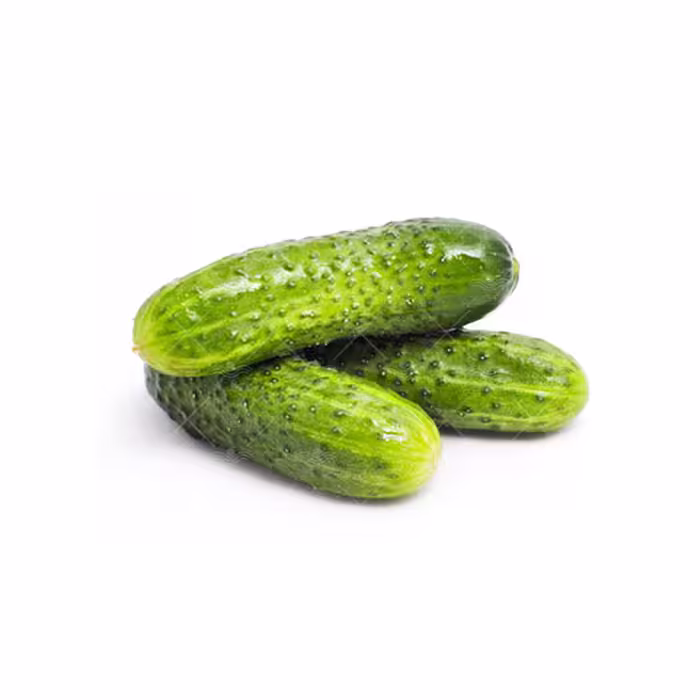 بذر خیار خاردار درختی خانگی