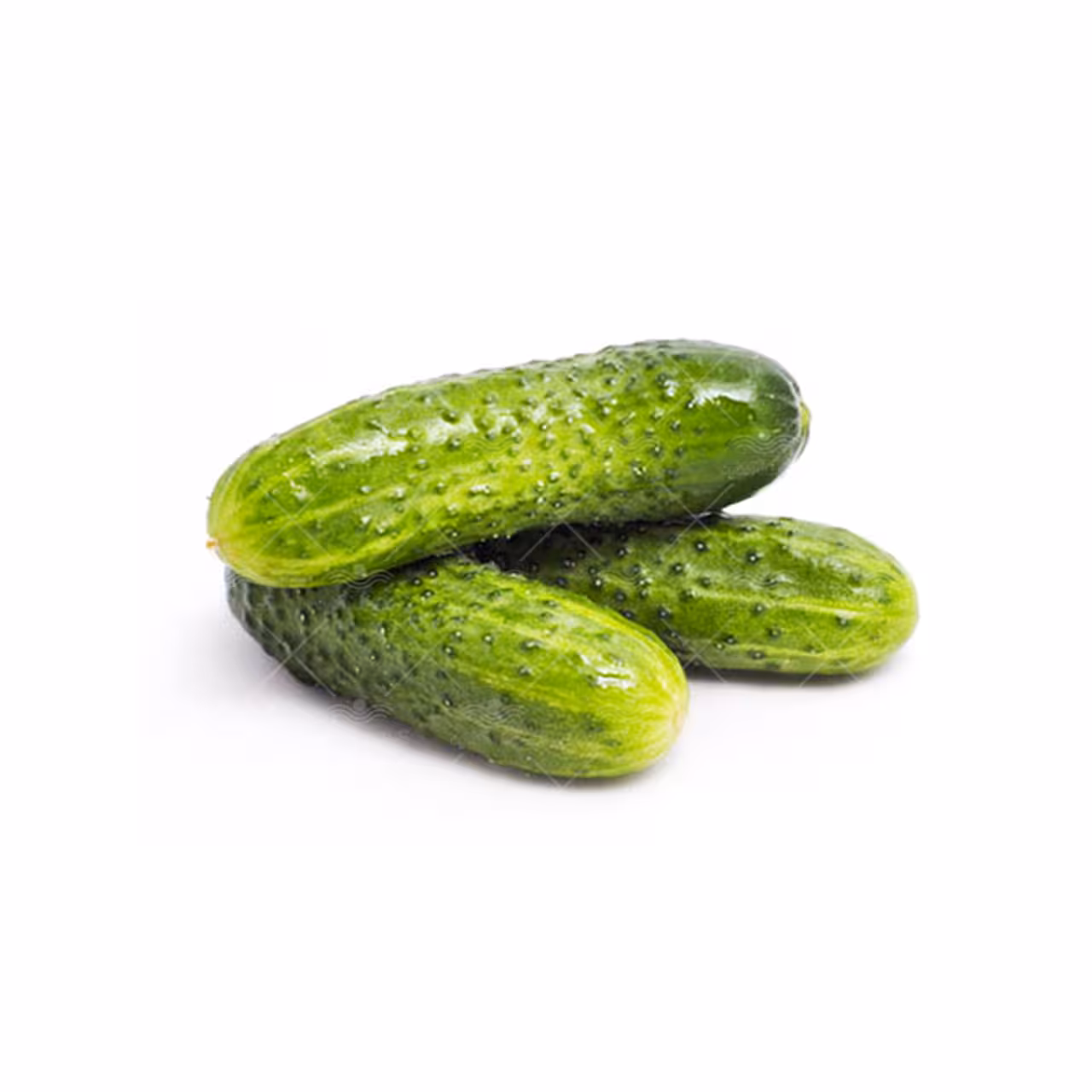 بذر خیار خاردار درختی خانگی