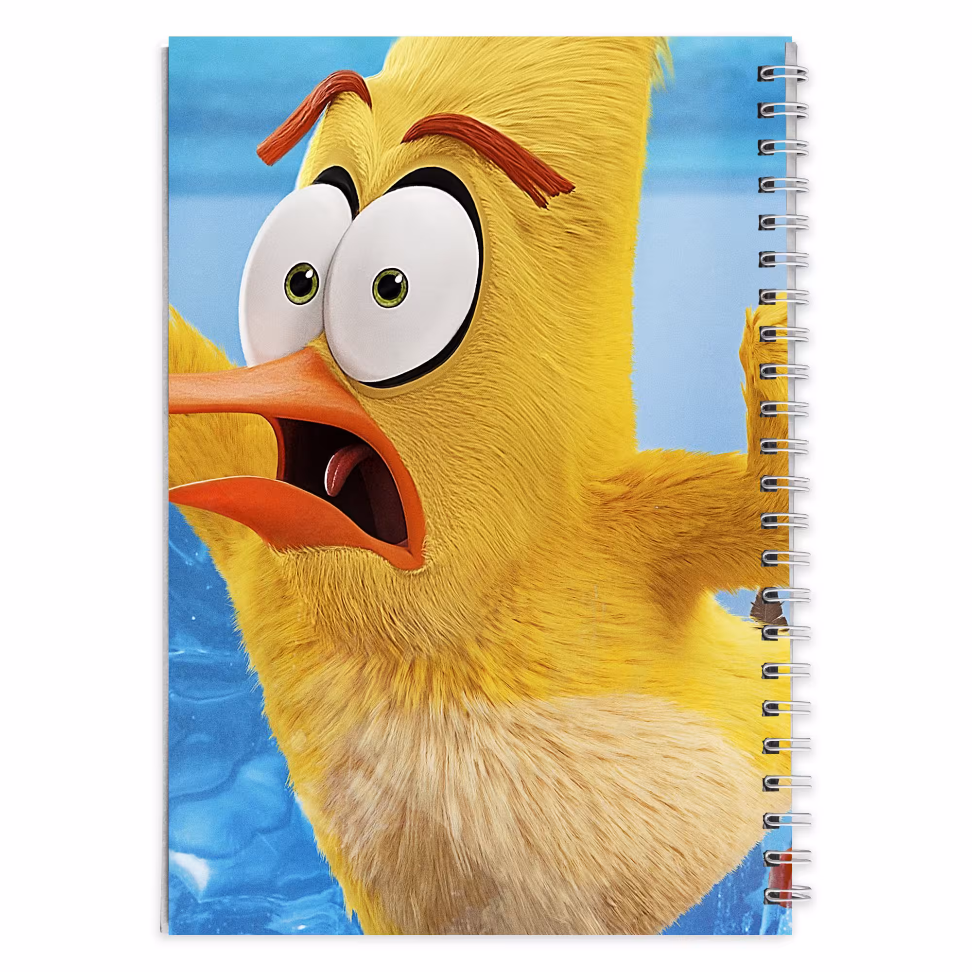 دفتر مشق کارتون پرندگان خشمگین