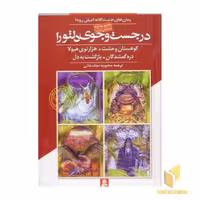 کتاب در جست و جوی دلتورا (مجموعه دوم) اثر امیلی رودا، نشر قدیانی