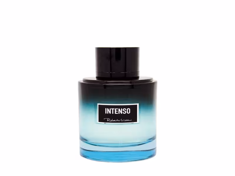 ادکلن مردانه روبرتو ویزاری مگنت لاین اینتنسو Roberto Vizzari magnet line intenso for men