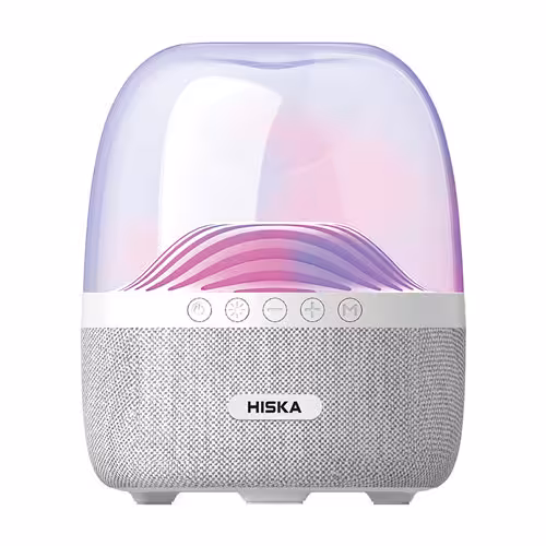 اسپیکر بلوتوثی قابل حمل هیسکا مدل B57