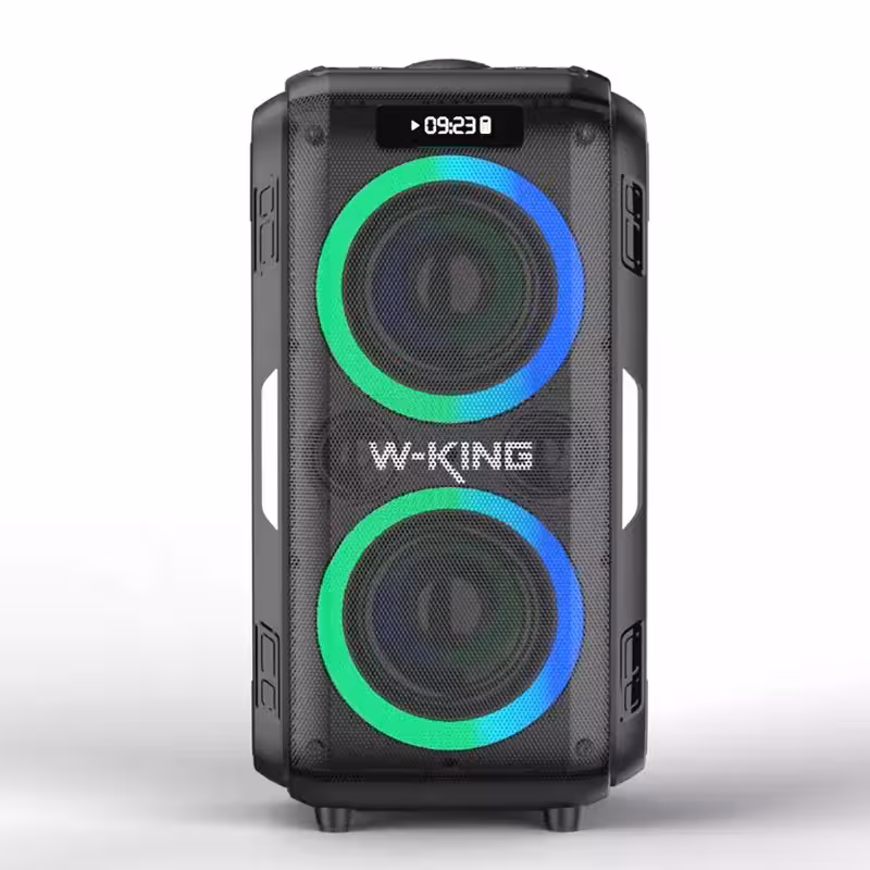 اسپیکر دبلیو کینگ مدل w-king t9