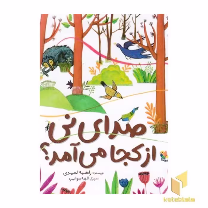 کتاب صدای نی از کجا می آمد؟ اثر راضیه احمدی، نشر میچکا-مبتکران