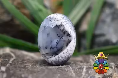 اپال دندریت