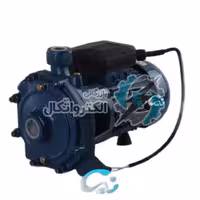 پمپ آب دو اسب دو پروانه الکتروژن مدلCB210 ا ELECTROGEN