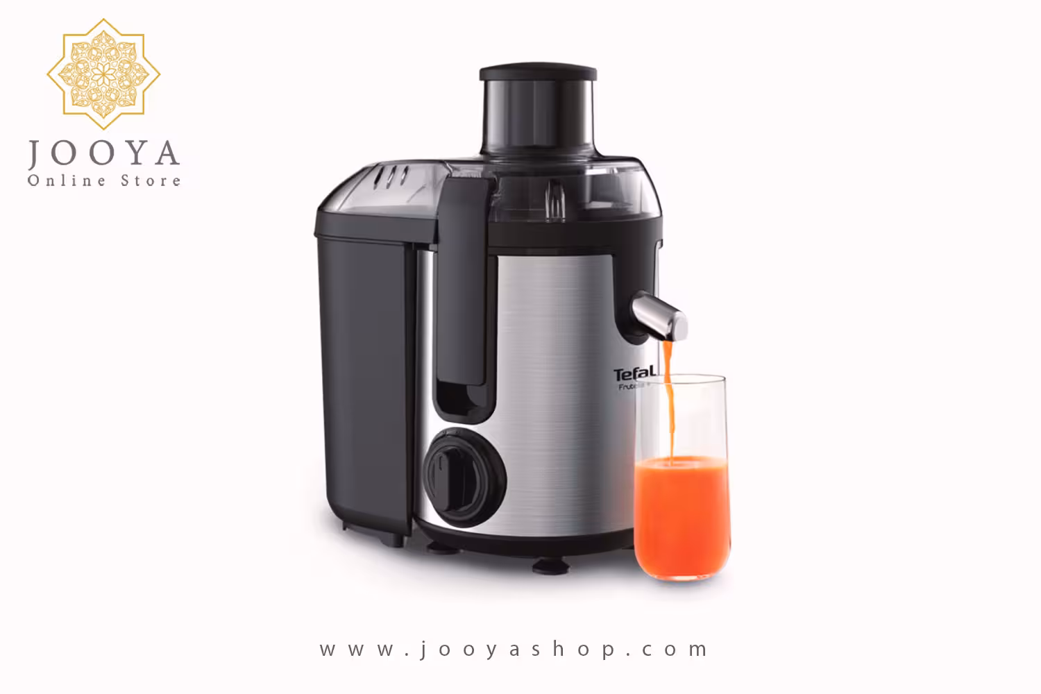 آبمیوه گیری تفال مدل ZE 420