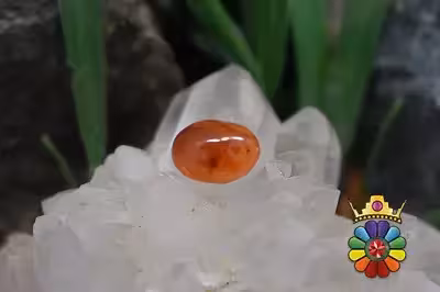 عقیق کارنلین