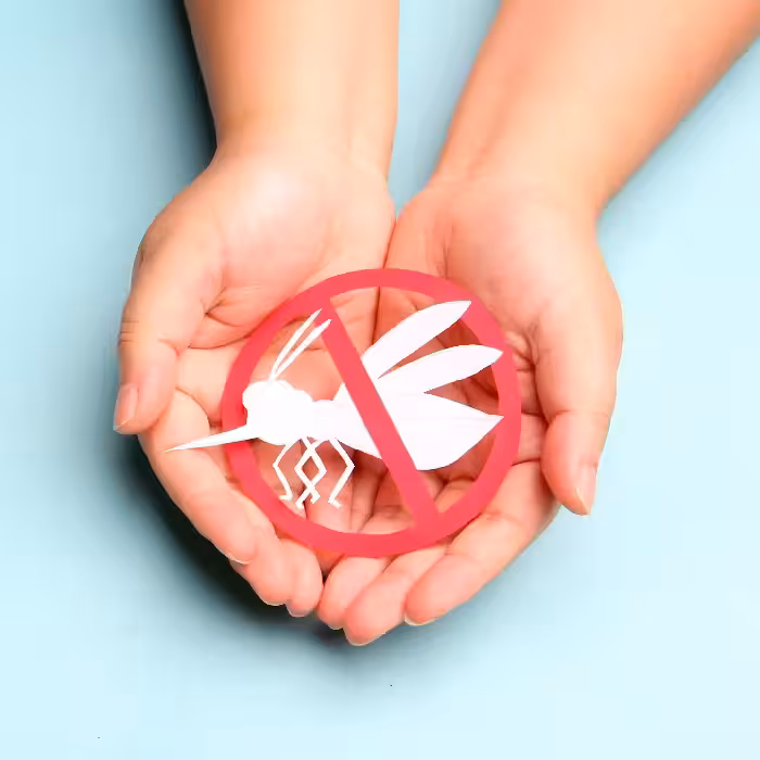 پاورپوینت بیماری مالاریا (پیشگیری، درمان و تشخیص)