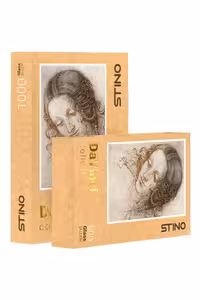 پازل شیشه ای 260 تکه طرح داوینچی 102