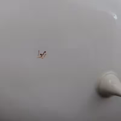 شیرینی خوری سرامیکی هیوا طرح رز برجسته پایه دار کد 11017439