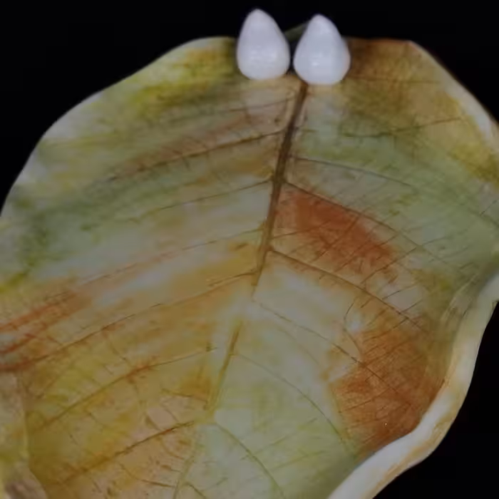 شیرینی خوری سرامیکی هیوا طرح برگ پاییز کد 10918872 مجموعه 2عددی 