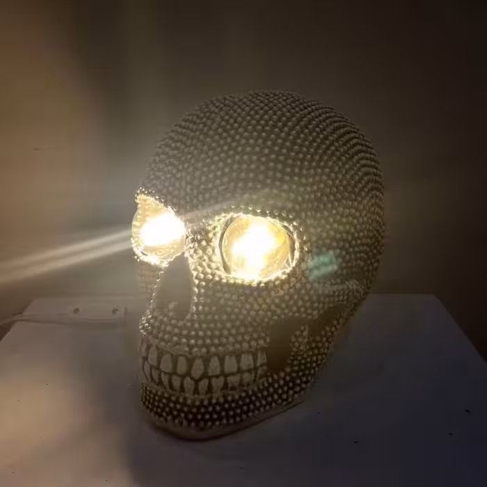 آباژور جمجمه اسکلت