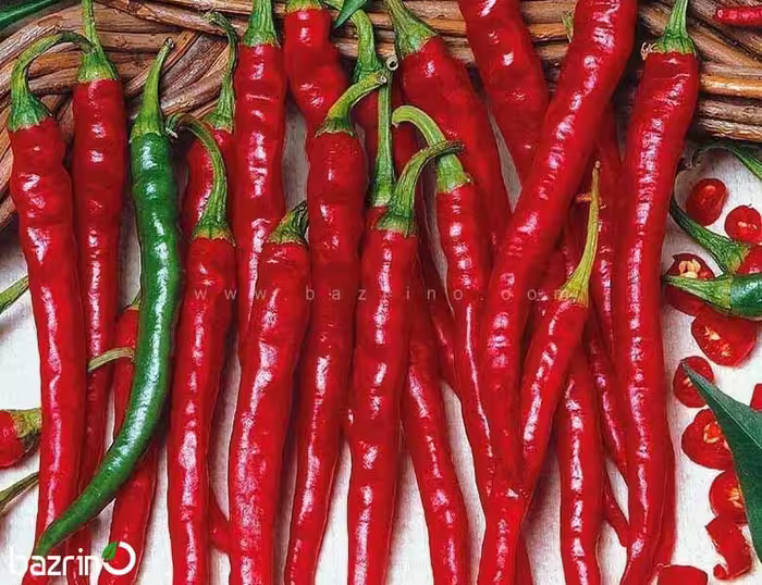 بذر فلفل پابلند سوزنی قرمز