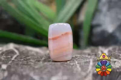 کرزی لس اگات