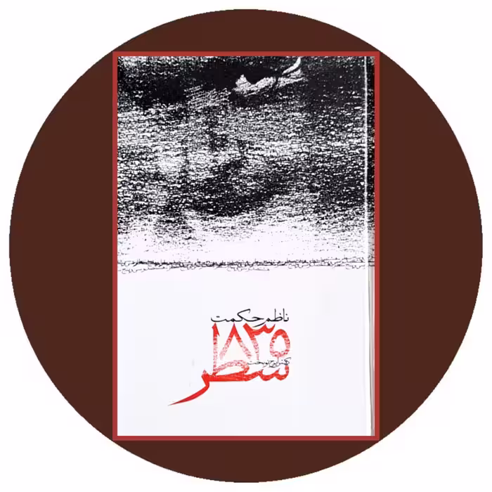 کتاب 835 سطر - خرید با تخفیف چهل درصد از کتاب دایره قهوه ای