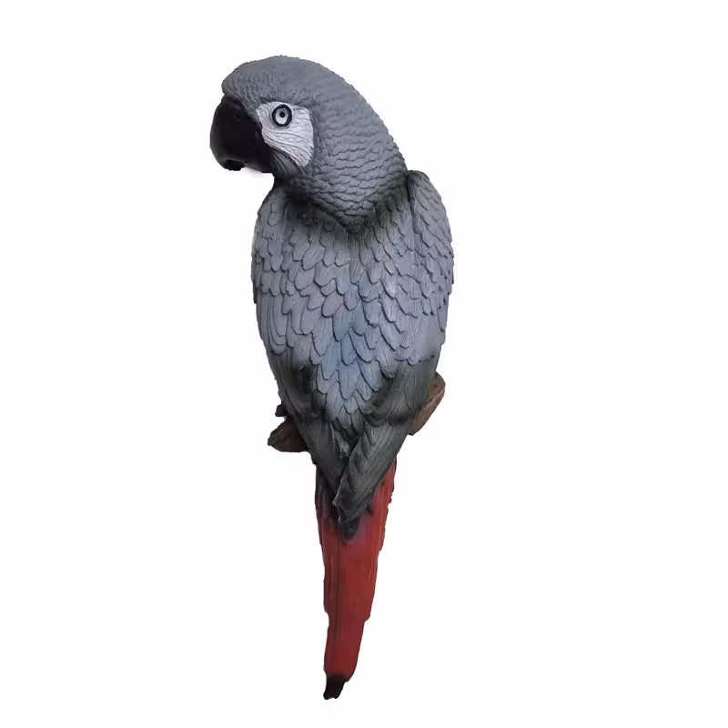 دیوارکوب طوطی کاسکو