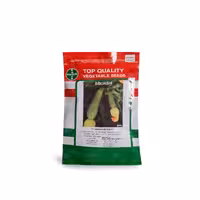 بذر کدو خورشتی النا ایتالیایی 1000 عددی