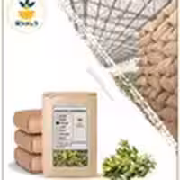 گیاه افسنطین خشک فله