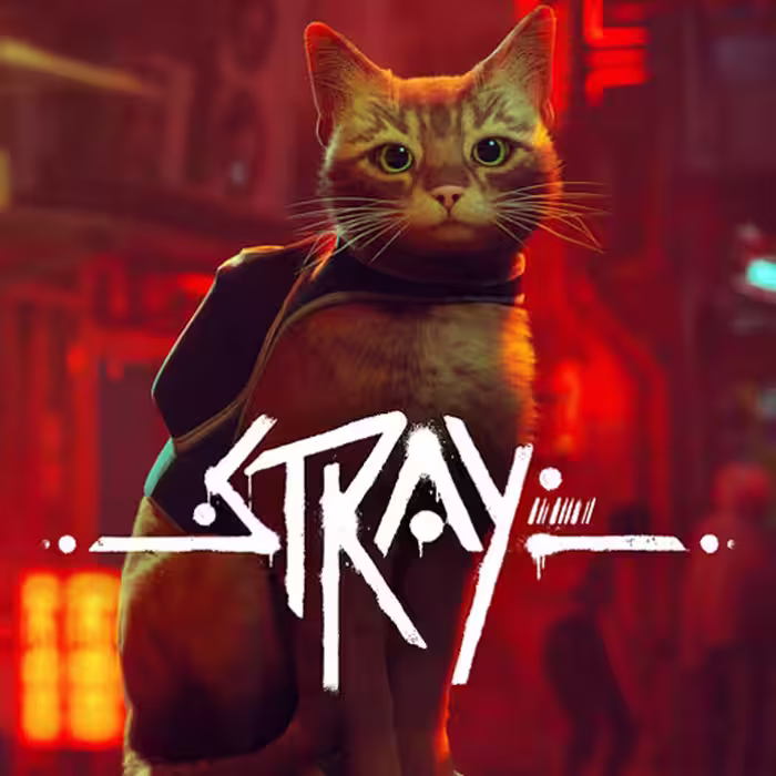 بازی Stray استیم