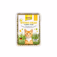 بذر علف گربه جیم کت مدل Hydro Grass وزن 150 گرم