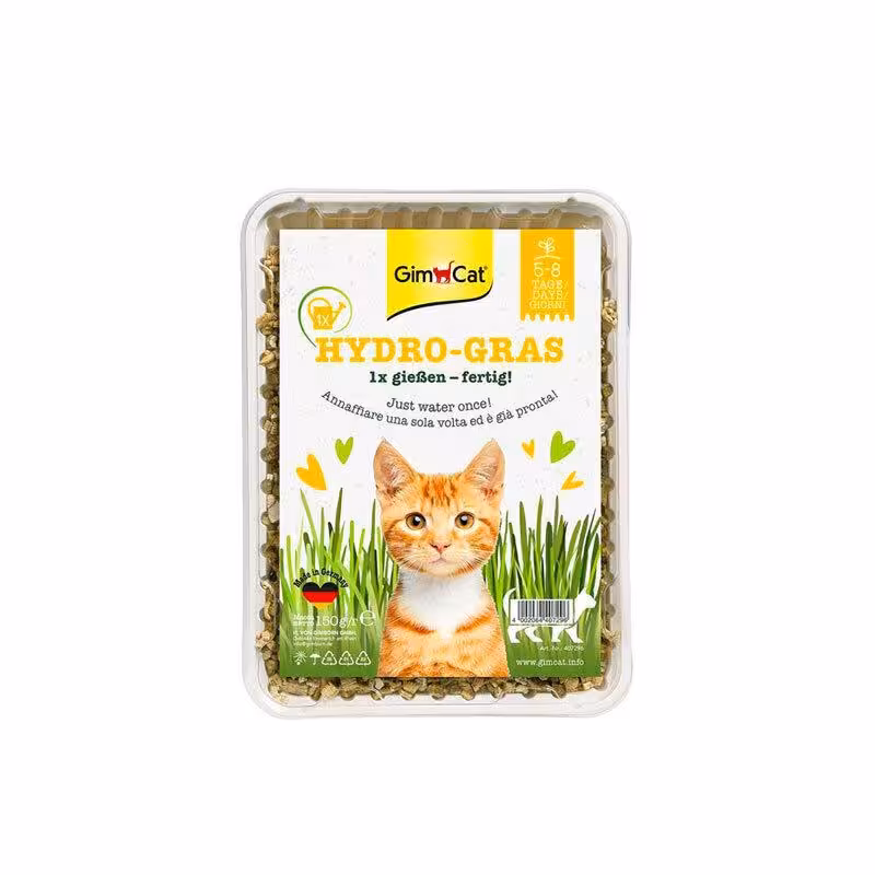 بذر علف گربه جیم کت مدل Hydro Grass وزن 150 گرم