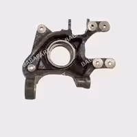 سگدست عقب چپ کوپا ریگان