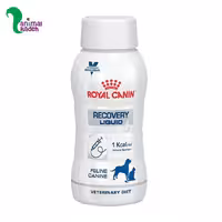 مایع ریکاوری رویال کنین مدل لیکویید مخصوص سگ و گربه 200 میل