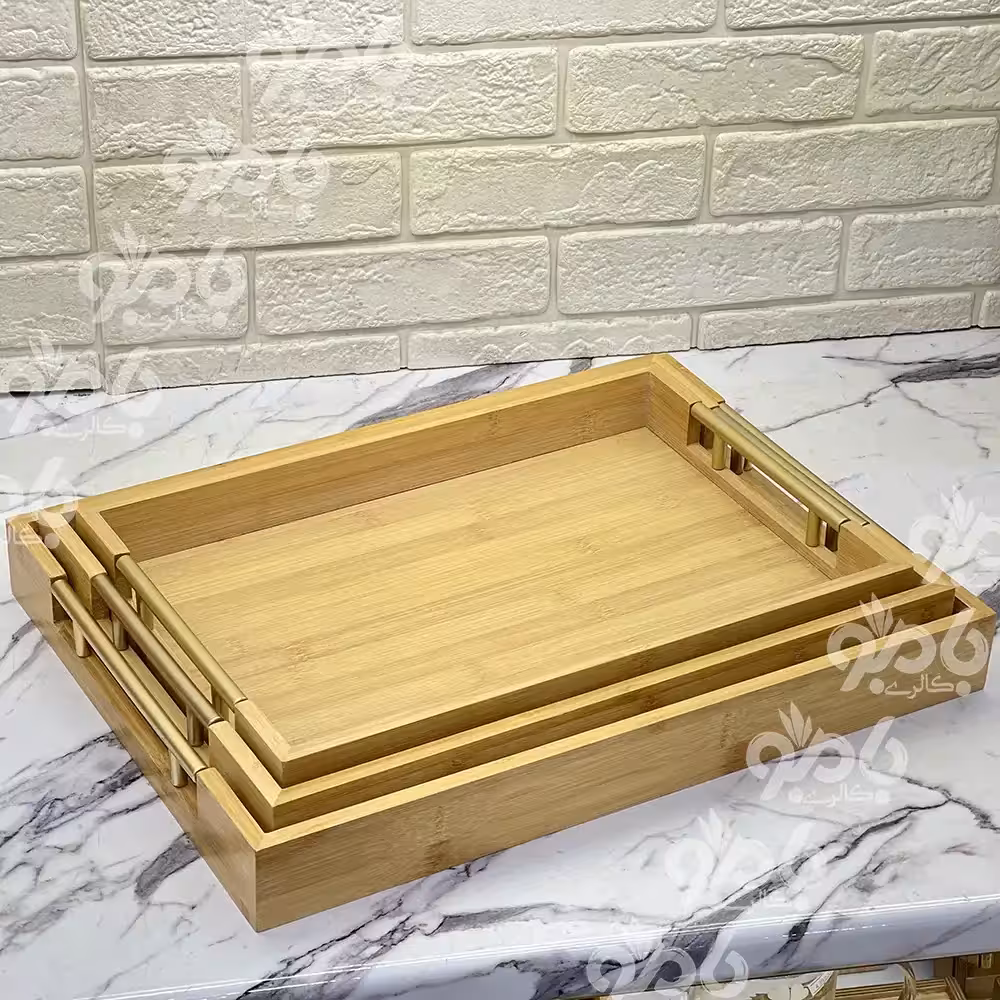 سینی بامبو وارداتی دسته دار