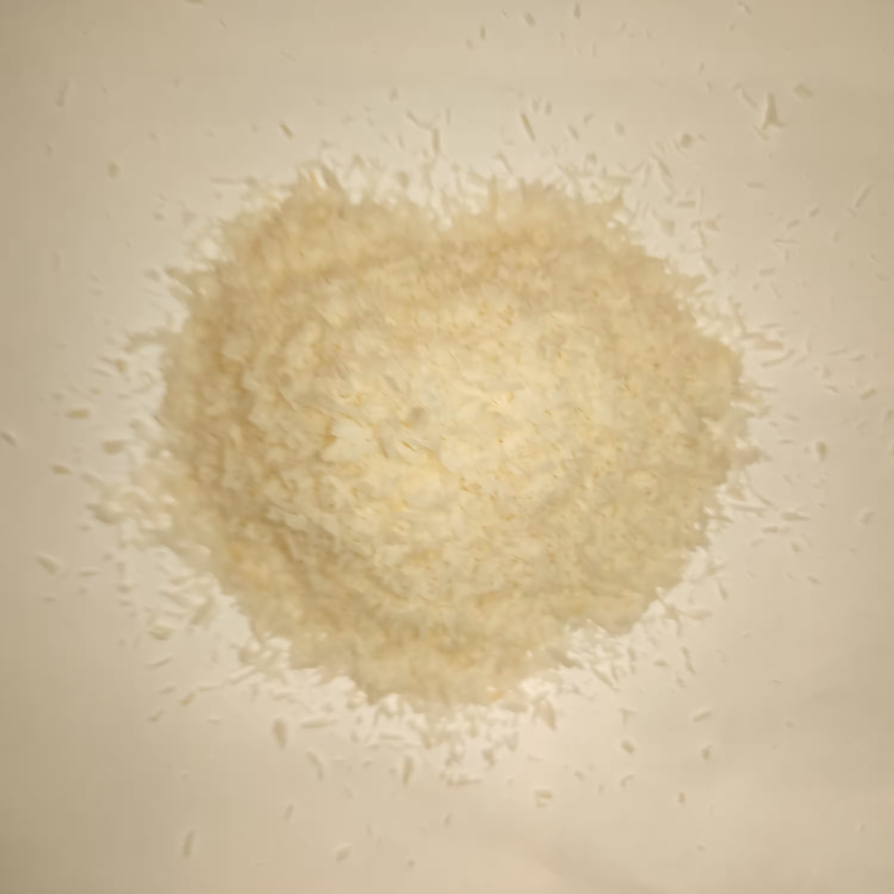 پودر نارگیل چرب سریلانکا 100 درصد خالص 1000 گرمی