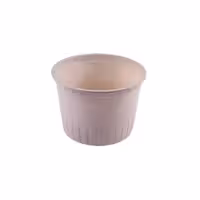 سطل گیاهی 1800cc سیتک کارتن 240 عددی