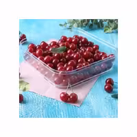 ظرف درب دار مربع 1000 سی سی برنا