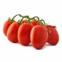 بذر گوجه فرنگی تخم مرغی درختی