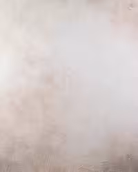 بک دراپ چوبی کد 271 (در 3 سایز)